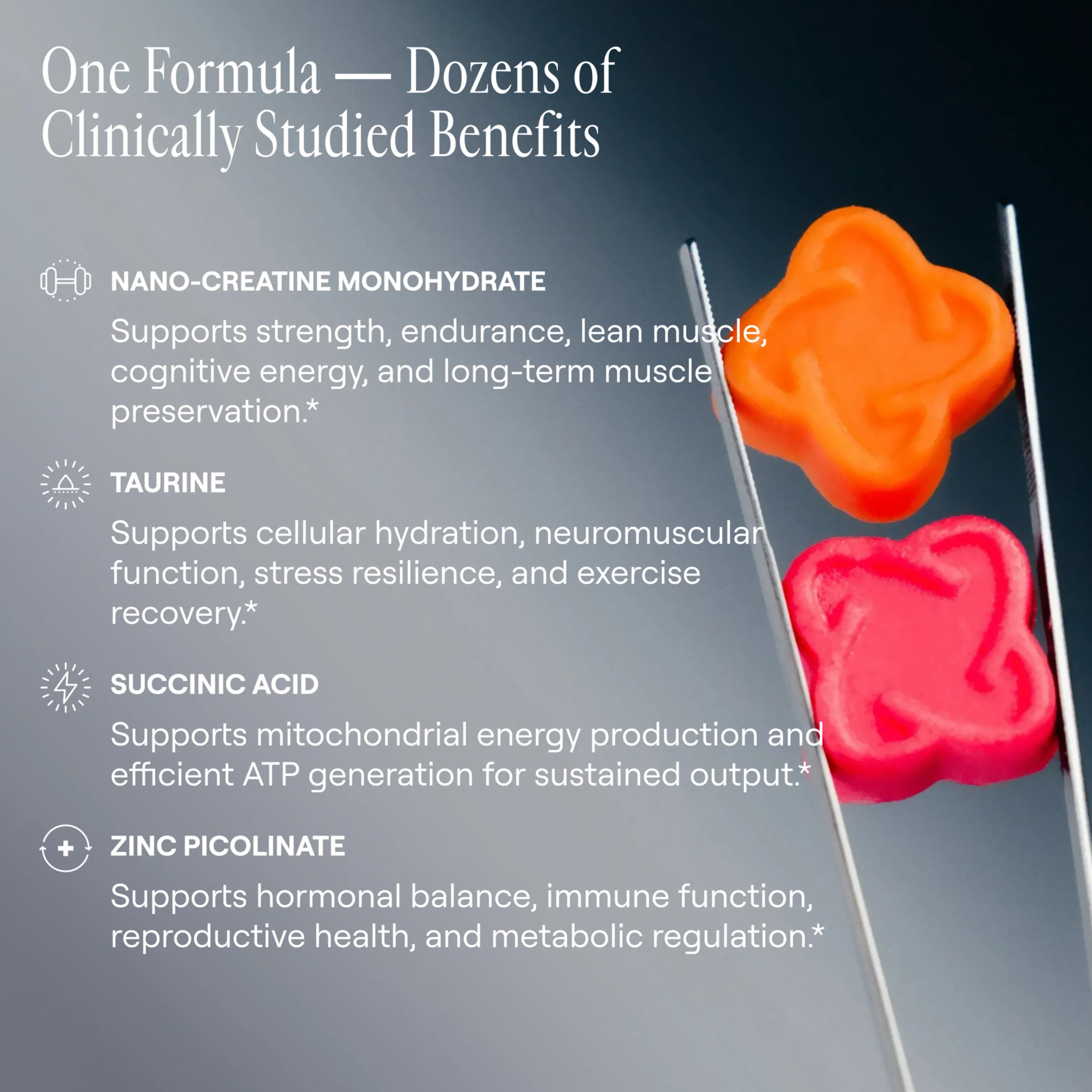 Arq8™ Creatine Monohydrate Gummies Arq8