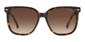CARRERA 3002/S
