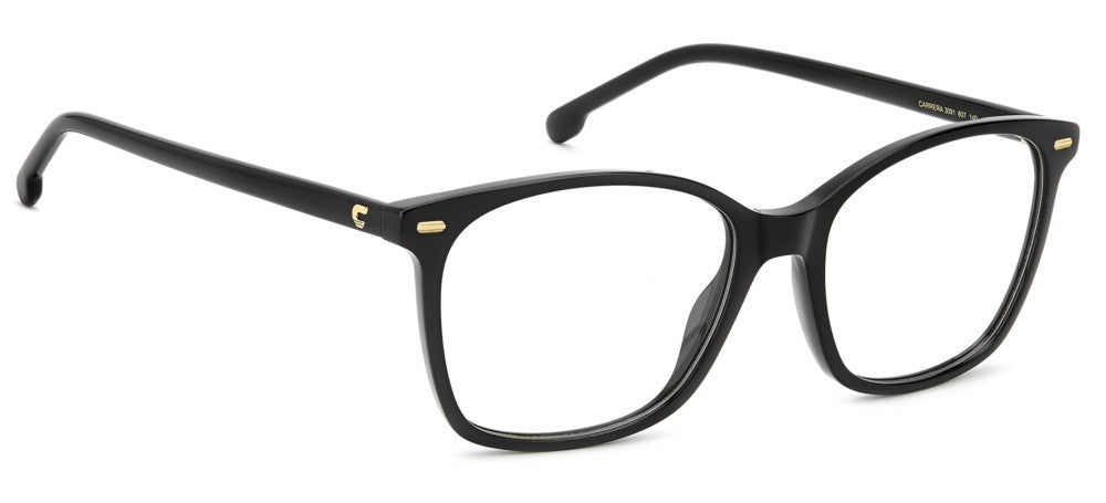 CARRERA 3091