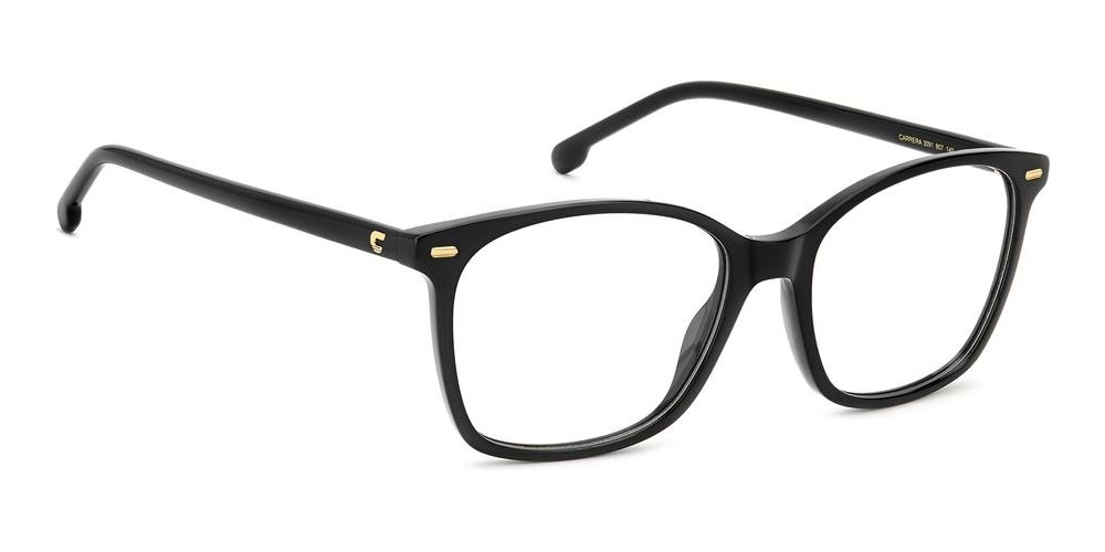 CARRERA 3091