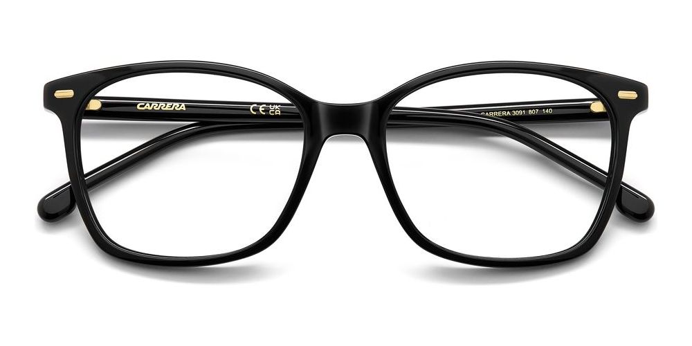 CARRERA 3091