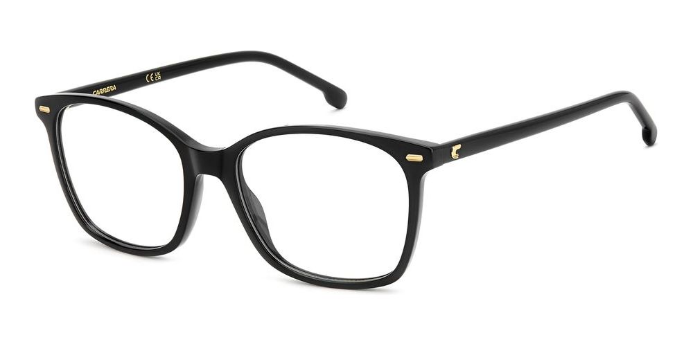 CARRERA 3091