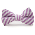 Iris Stripe - Boys Bow TIe