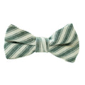 Juniper Stripe - Boys Bow Tie