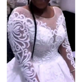 Lace Full Sleeve Wedding Gown Plus Size Illusion