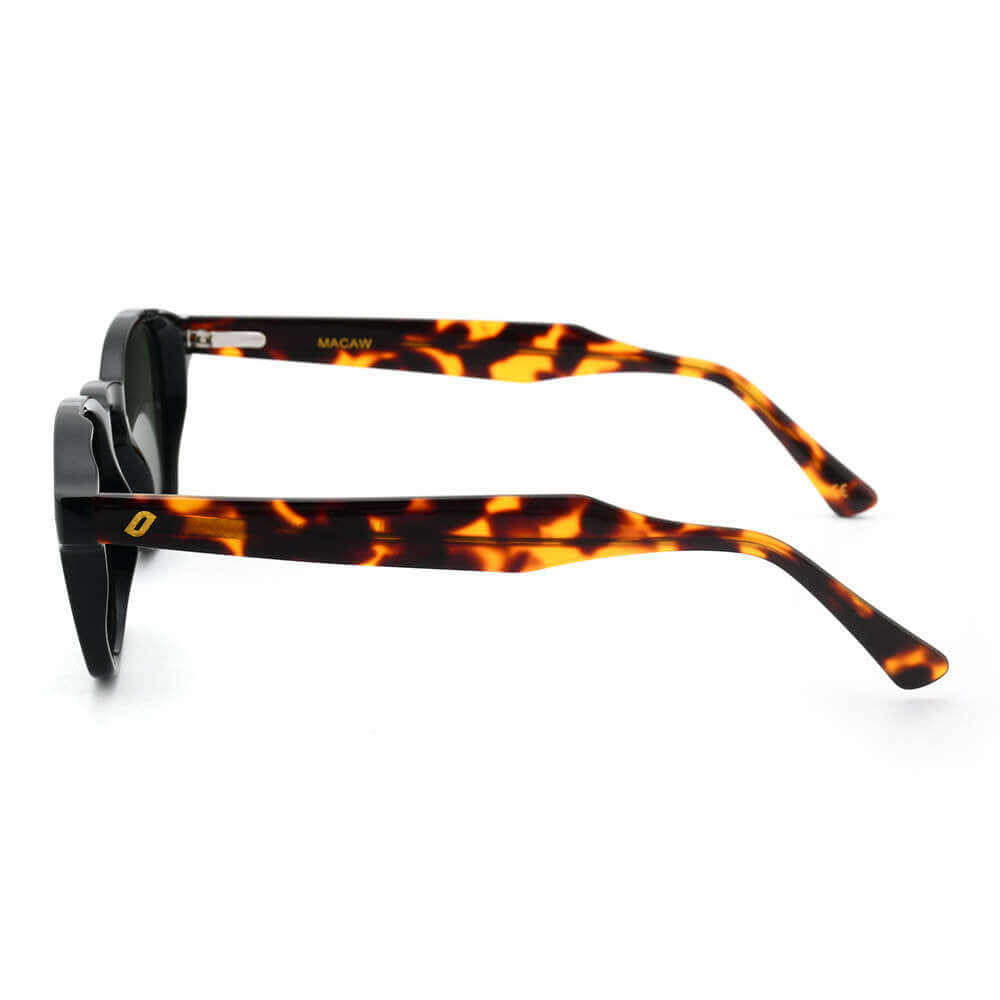 Macaw - Bio Acetate Sunglasses JOPLINS® | Premium Sustainable Sunglasses