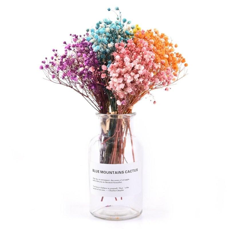 Natural Gypsophila Dried Flowers Mini Babysbreath Flower Preserve Floral  Decor Bouquet Wedding Party Home Backdrop Decor 12cm