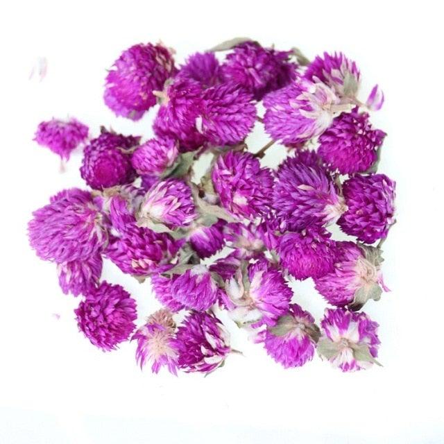 Natural Gypsophila Dried Flowers Mini Babysbreath Flower Preserve Floral  Decor Bouquet Wedding Party Home Backdrop Decor 12cm