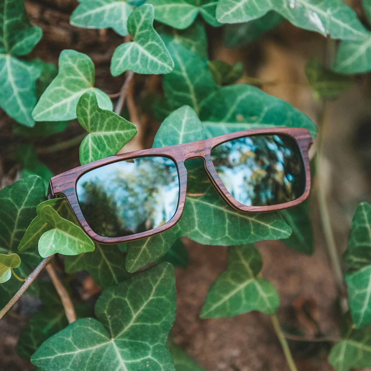 Palau - Wooden Sunglasses JOPLINS® | Premium Sustainable Sunglasses