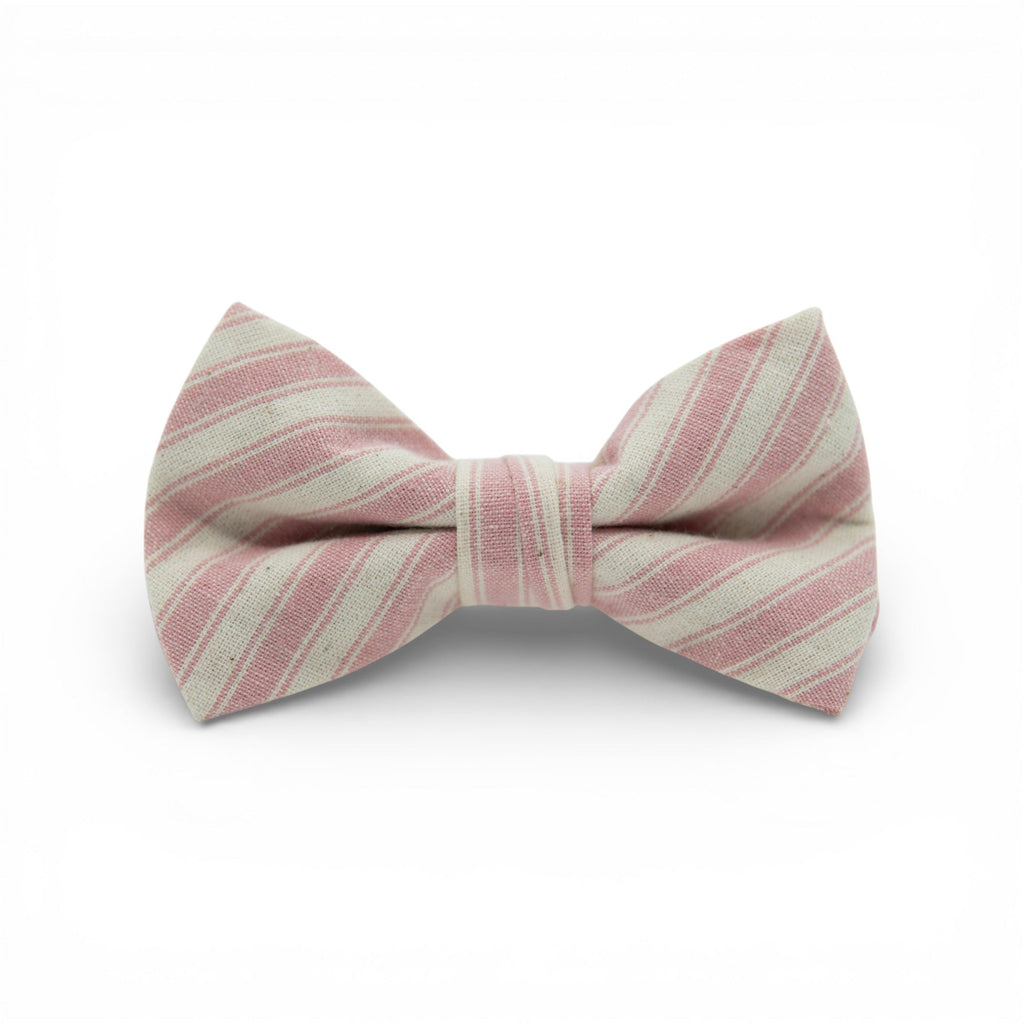 Peony Stripe - Boys Bow Tie