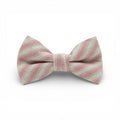 Peony Stripe - Boys Bow Tie