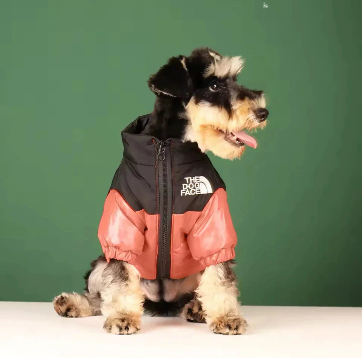 Puffer Dog Jacket V.I.P Digital Presence