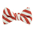 Scarlet Stripe - Boys Bow TIe