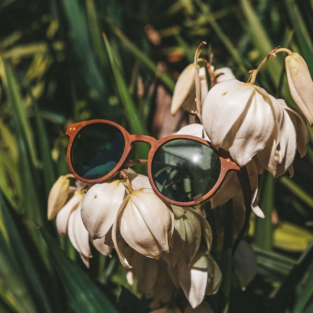 Stinson - Unisex Wooden Sunglasses JOPLINS® | Premium Sustainable Sunglasses