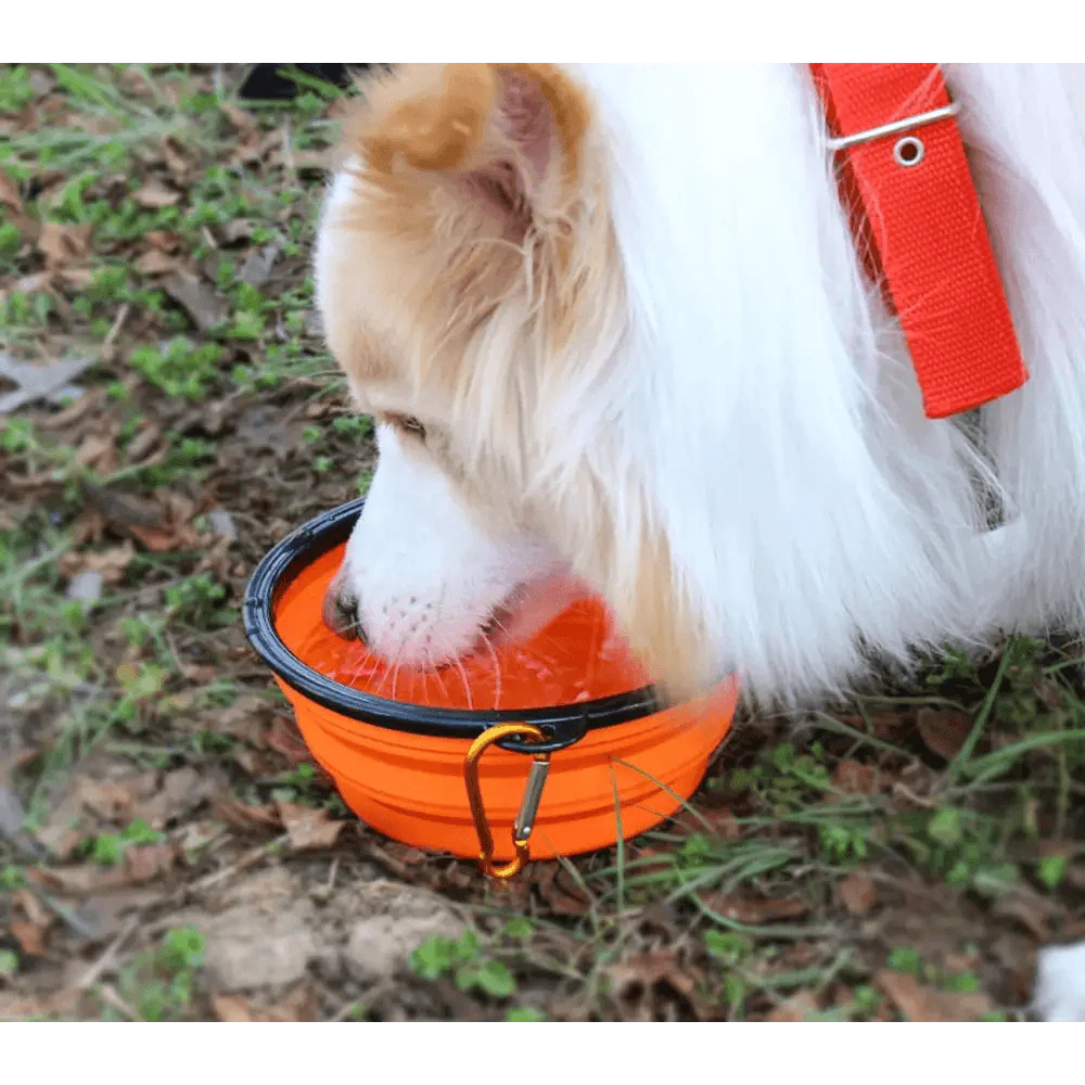 Universal Colorful Collapsible Silicone Dog Food Water Bowl Foldable Cup Dish For Pet Portable Travel Bowl For Dog Stevvex