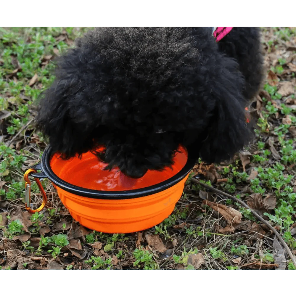 Universal Colorful Collapsible Silicone Dog Food Water Bowl Foldable Cup Dish For Pet Portable Travel Bowl For Dog Stevvex